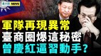 太子党大难临头中秋过后要出大事上海病毒大乱斗(视频)