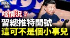 中共“最富村庄”被1元贱卖；习近平带头勇闯推特(视频)