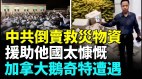 加拿大鵝援助災區卻被倒賣甘肅災民冬夜戶外打地鋪(視頻)