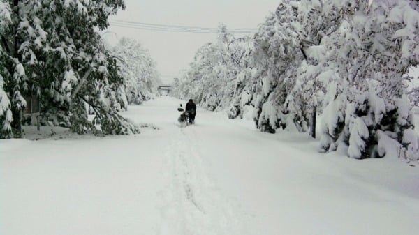 暴雪