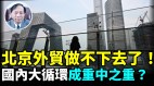 【谢田时间】中共总理李强开会指提振消费做强国内大循环是中国经济大转型吗(视频)