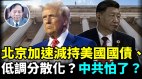 【谢田时间】中共联合160多WTO成员国状告WTO川普关税政策(视频)