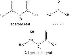 Estruturas químicas dos três corpos cetônicos