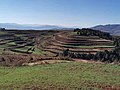 東川紅土樂譜凹