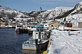 Petty Harbour