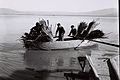 Members of the kibbutz, bringing in reeds cut on the northern shore of Lake Hula in 1940