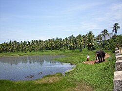 Village scene