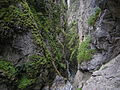 Kitzlochklamm bei Taxenbach, Salzburg, Österreich