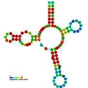 SAM riboswitch: Secondary structure for the riboswitch marked up by sequence conservation. Family RF00162.