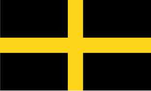 Bandeira de São David