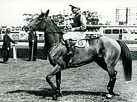 Flight, 1944 winner