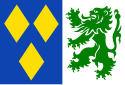 Vlag van De Panne