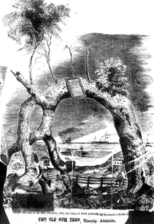 Old Gum Tree in 1867