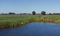 between Meerkerk and Ameide, ditch in the polder