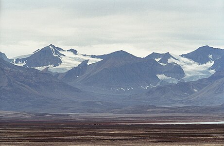 Antarctic Havn, a former trapper's cabin on the south shore of King Oscar Fjord