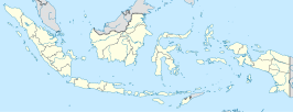 Indragiri Hilir (Indonesië)