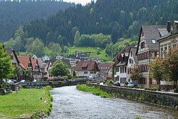 Skyline of Schiltach