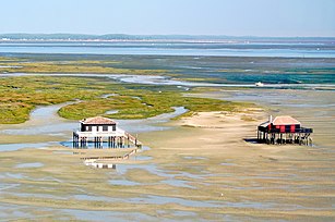 Cabanes tchanquées du bassin d'Arcachon