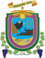 Blason de Ica