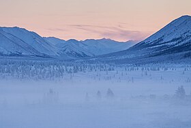 Floresta de Oymyakon, em 2013.