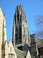 Yale University