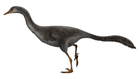 Halszkaraptor escuilliei