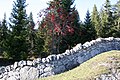 e Weidmuur bi Combe des Amburnex im Waadtland