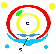 Corte transversal das peças bucais de um Thysanoptera (vermelho: labro; verde: mandíbula esquerda; amarelo: palpos maxilares e estipes maxilares; c: canal alimentar; azul escuro: hipofaringe; s: canal salivar; azul claro:lábio e palpos labiais).