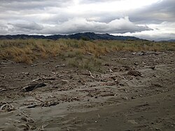 Te Horo Beach