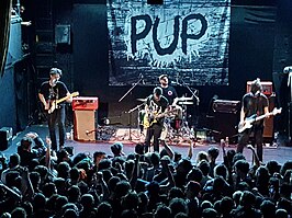 Pup (2016)