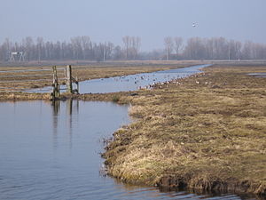 Vogelreservaat Westeinde