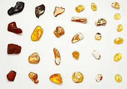 Baltic amber. Polished stones