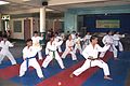 Image 19Karatekas wearing different colored belts (from Karate)