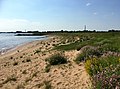 Rivierstrand van de Waal nabij Gendt (Nederland)