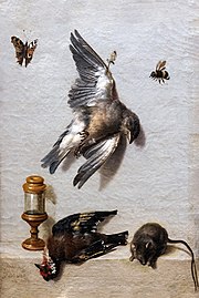 1712, Nature morte avec deux oiseaux morts, une souris et trois insectes, Agen, Musée des Beaux-Arts.