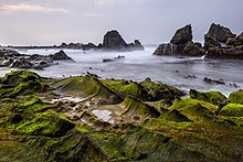 Rugged green landscape by the sea