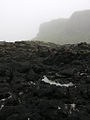 Faisant partie des îles Treshnish, Lunga est rocailleuse.