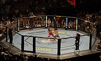 Miniatyrbild för Ultimate Fighting Championship