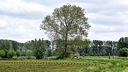 Een bunker van de Hollandstelling in Mendonk