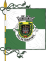 Bandeira de Monforte