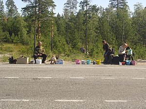 Khanty selling blueberries and stuffed animals