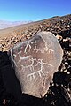 Llamas at La Silla[45]