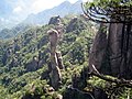 Sanqing fjöll („þrír hreinir“ á kínversku) eru heilög daoistum staðsett 40 km norður af Yushan-sýslu í Jiangxi.