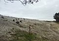 Réfection par apport de sable de la dune du Treustel après l'érosion subie pendant l'hiver 2013-2014.