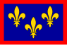 Drapeau de l'Anjou.