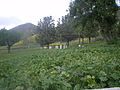 Foothills at North Terminus