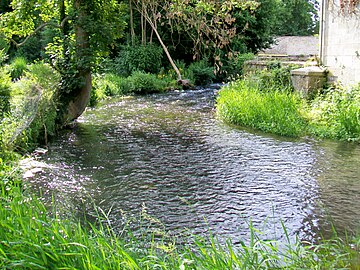 La Nonette à Avilly.