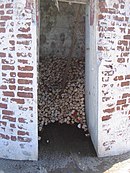 Hermit crabs on Baker Island