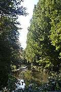 Les bords de la Juine à Étréchy.