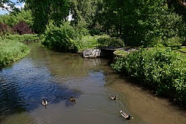 La Juine traversant le parc de Saclas dans l'Essonne.